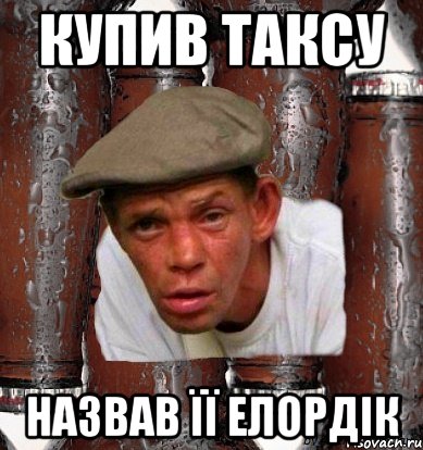Купив таксу назвав її Елордік