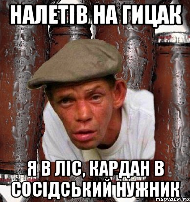 налетів на гицак я в ліс, кардан в сосідський нужник