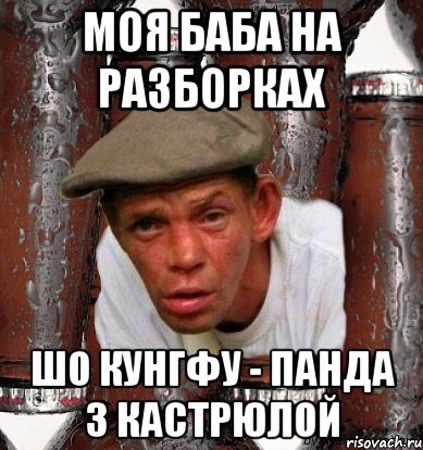 Моя баба на разборках шо кунгфу - Панда з кастрюлой