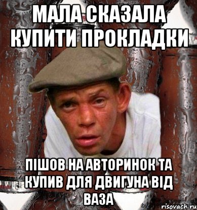 Мала сказала купити прокладки Пішов на авторинок та купив для двигуна від ВАЗА