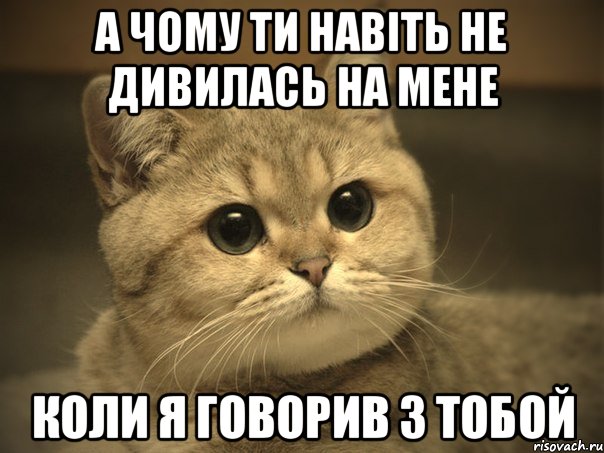 а чому ти навіть не дивилась на мене коли я говорив з тобой, Мем Пидрила ебаная котик