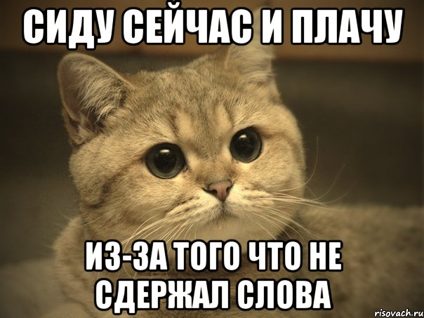 Сиду сейчас и плачу Из-за того что не сдержал слова, Мем Пидрила ебаная котик