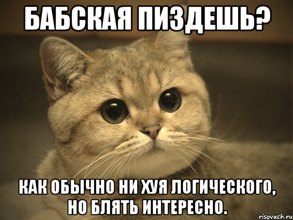 бабская пиздешь? как обычно ни хуя логического, но блять интересно., Мем Пидрила ебаная котик