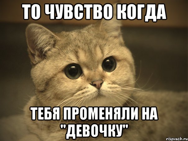 то чувство когда тебя променяли на "девочку", Мем Пидрила ебаная котик