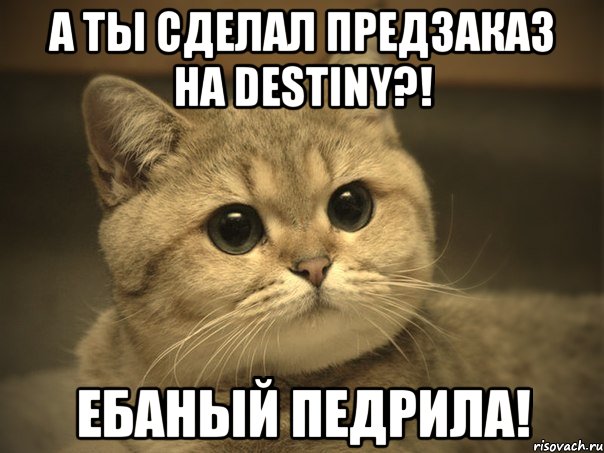 А ты сделал предзаказ на Destiny?! Ебаный педрила!, Мем Пидрила ебаная котик