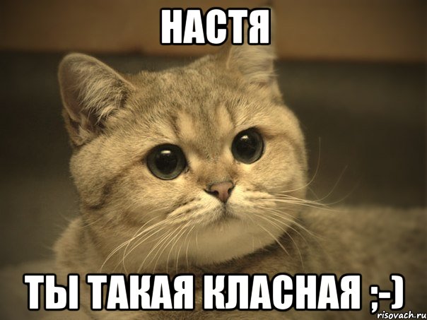 настя ты такая класная ;-)