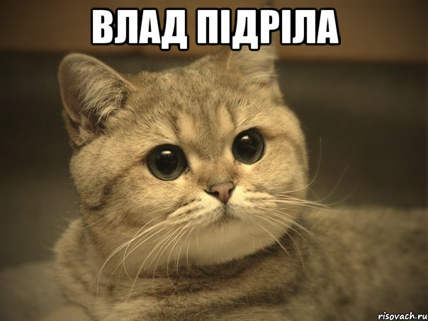 Влад підріла 