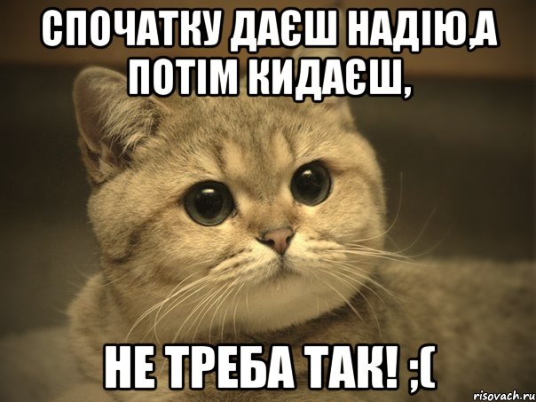 Спочатку даєш надію,а потім кидаєш, Не треба так! ;(, Мем Пидрила ебаная котик