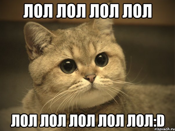 ЛОЛ ЛОЛ ЛОЛ ЛОЛ ЛОЛ ЛОЛ ЛОЛ ЛОЛ ЛОЛ:D, Мем Пидрила ебаная котик