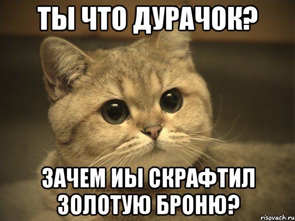 Ты что дурачок? Зачем иы скрафтил золотую броню?, Мем Пидрила ебаная котик