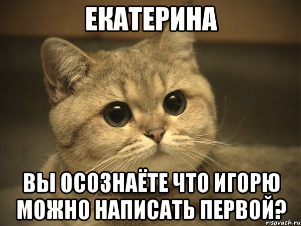 Екатерина Вы осознаёте что Игорю можно написать первой?, Мем Пидрила ебаная котик