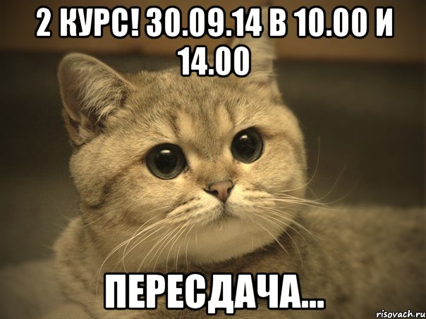 2 курс! 30.09.14 в 10.00 и 14.00 Пересдача..., Мем Пидрила ебаная котик