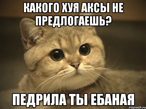 Какого хуя аксы не предлогаешь? Педрила ты ебаная, Мем Пидрила ебаная котик