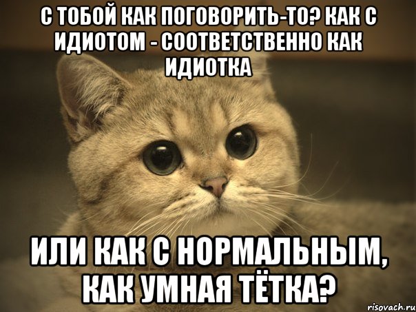 с тобой как поговорить-то? Как с идиотом - соответственно как идиотка или как с нормальным, как умная тётка?, Мем Пидрила ебаная котик