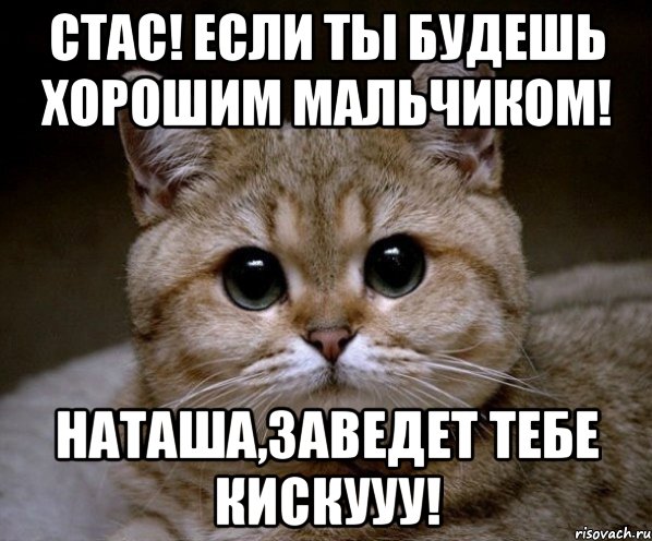 Стас! Если ты будешь хорошим мальчиком! Наташа,заведет тебе кискууу!, Мем Пидрила Ебаная