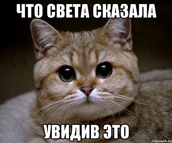 Что света сказала увидив это, Мем Пидрила Ебаная