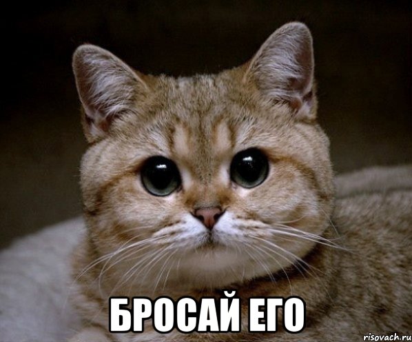  Бросай его, Мем Пидрила Ебаная