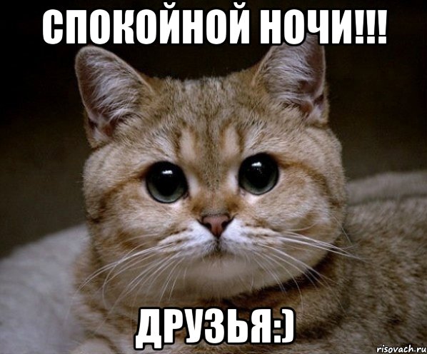 Спокойной ночи!!! Друзья:), Мем Пидрила Ебаная