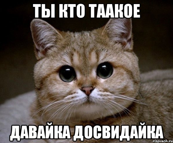 Ты кто таакое Давайка досвидайка, Мем Пидрила Ебаная