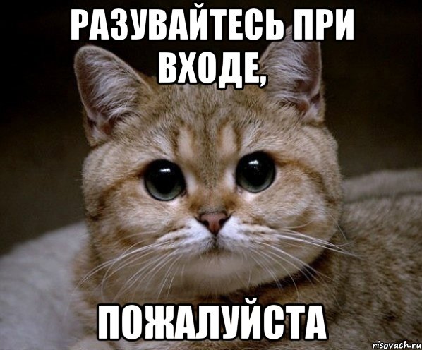 Разувайтесь при входе, Пожалуйста, Мем Пидрила Ебаная
