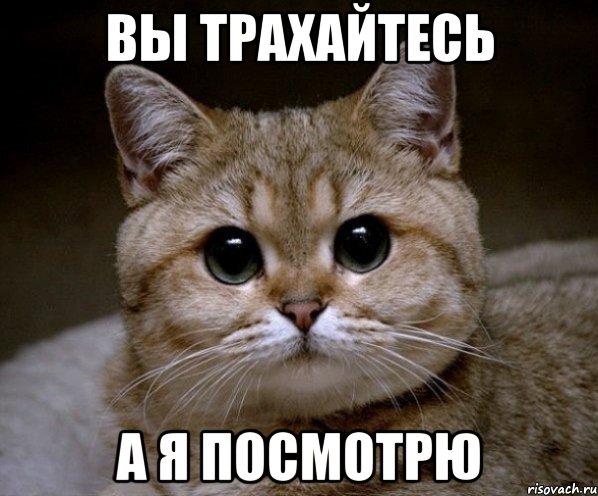 Вы трахайтесь а я посмотрю, Мем Пидрила Ебаная