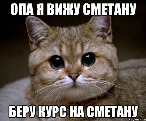 Опа я вижу сметану беру курс на сметану, Мем Пидрила Ебаная