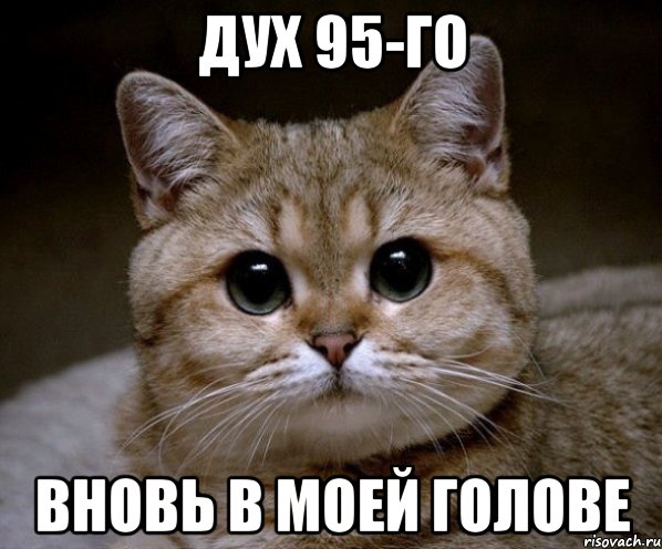 ДУХ 95-ГО ВНОВЬ В МОЕЙ ГОЛОВЕ, Мем Пидрила Ебаная