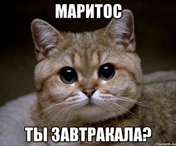 Маритос Ты завтракала?, Мем Пидрила Ебаная