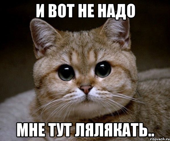 И вот не надо мне тут лялякать.., Мем Пидрила Ебаная
