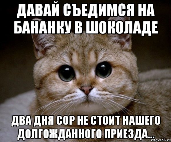 Давай съедимся на бананку в шоколаде Два дня сор не стоит нашего долгожданного приезда..., Мем Пидрила Ебаная