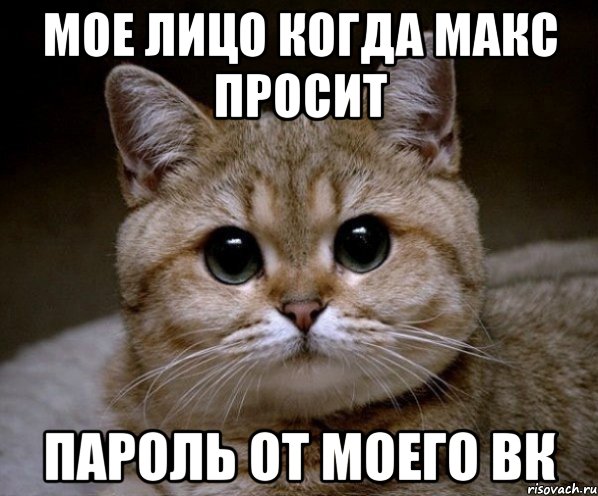 Мое лицо когда Макс просит Пароль от моего ВК, Мем Пидрила Ебаная