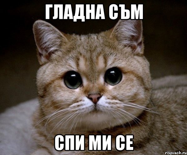 гладна съм спи ми се, Мем Пидрила Ебаная
