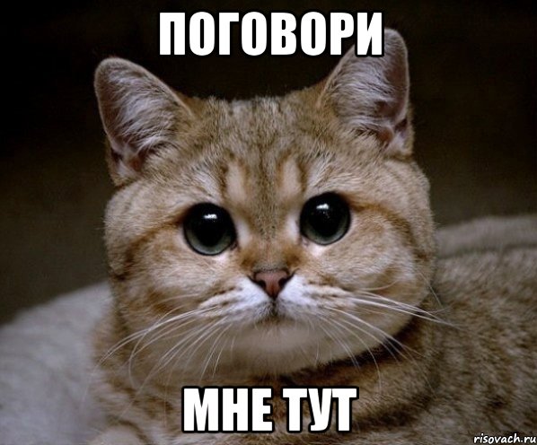 поговори мне тут, Мем Пидрила Ебаная