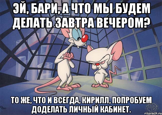 Эй, Бари, а что мы будем делать завтра вечером? То же, что и всегда, Кирилл, попробуем доделать личный кабинет., Мем ПИНКИ И БРЕЙН