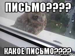 Письмо???? Какое письмо????
