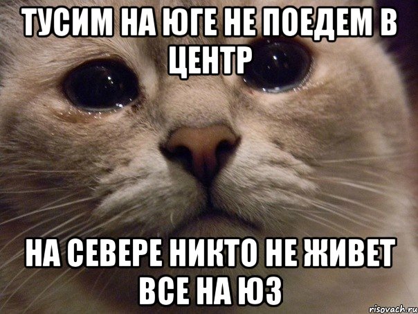 Тусим на юге Не поедем в центр На севере никто не живет все на ЮЗ, Мем   В мире грустит один котик