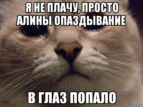 я не плачу, просто Алины опаздывание в глаз попало, Мем   В мире грустит один котик