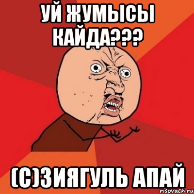 Уй жумысы кайда??? (с)Зиягуль апай, Мем Почему