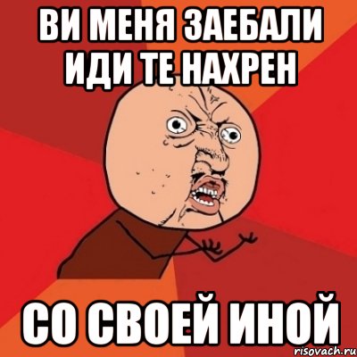 ВИ Меня заебали иди те нахрен со своей Иной, Мем Почему