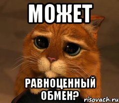 МОЖЕТ РАВНОЦЕННЫЙ ОБМЕН?, Мем Кот из Шрека