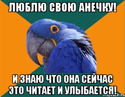 Люблю свою Анечку! И знаю что она сейчас это читает и улыбается!, Мем Попугай параноик