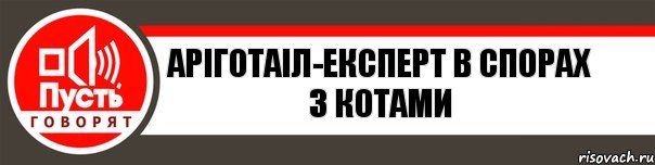 Аріготаіл-експерт в спорах з котами, Комикс   пусть говорят