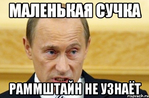 маленькая сучка раммштайн не узнаёт, Мем путин