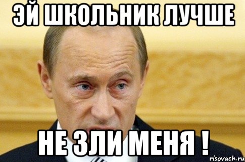 Эй школьник лучше не зли меня !, Мем путин