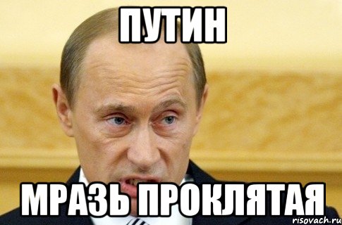 путин мразь проклятая, Мем путин