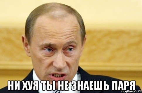  ни хуя ты не знаешь паря, Мем путин