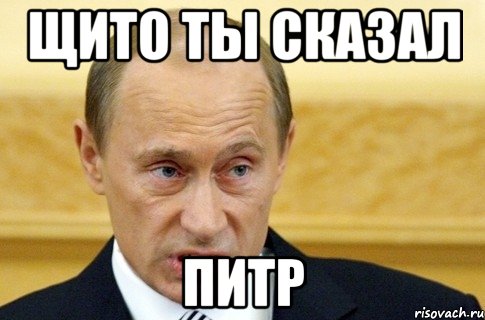 Щито ты сказал Питр, Мем путин