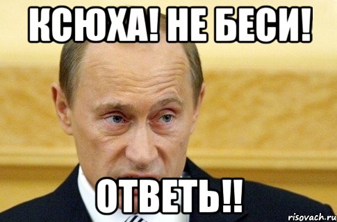 Ксюха! Не беси! Ответь!!, Мем путин