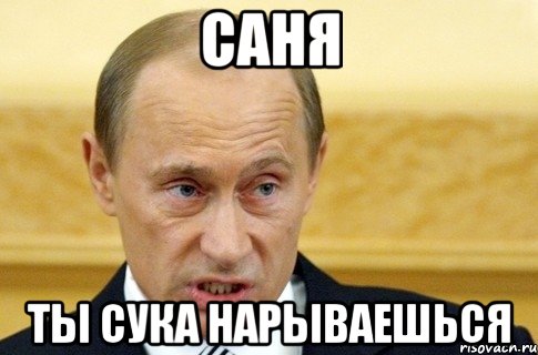 Саня Ты сука нарываешься, Мем путин