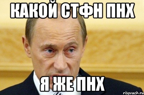 Какой Стфн пнх Я же пнх, Мем путин